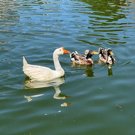 Ferienhaus El Majuelo 2 Níjar